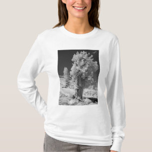Infrared photo in East side of Yosemite National T-Shirt