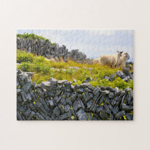 Inisheer Aran Islands Galway Ireland. Jigsaw Puzzle