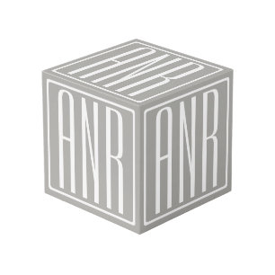 Initials Monogram White On Light Grey Cube