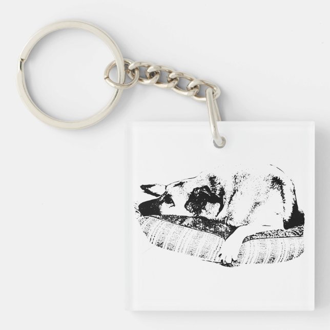 Ink Sleep, Pet Stripe Charm Key Ring (Front)