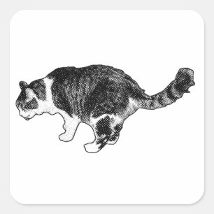 Ink Whiskers, Cheerful Days Square Sticker