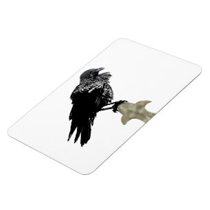 Inked Raven Magnet