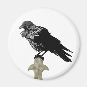 Inked Raven Magnet