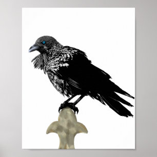 Inked Raven Poster