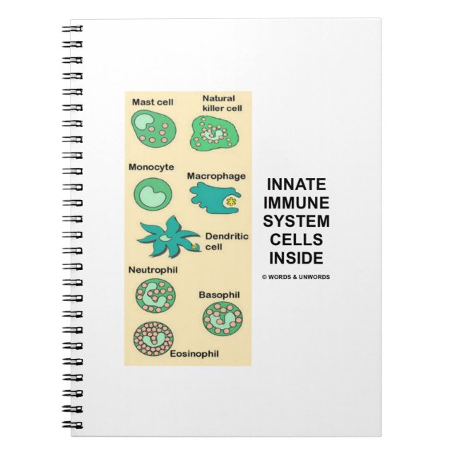 Innate Immune System Cells Inside Immunology Spiral Notebook (Front)