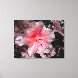 Inner Glow Canvas Print