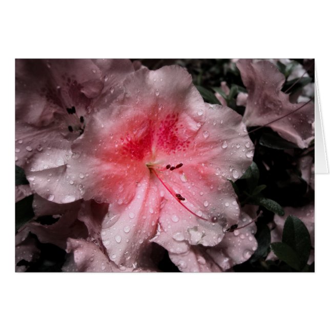 Inner Glow Card (Front Horizontal)