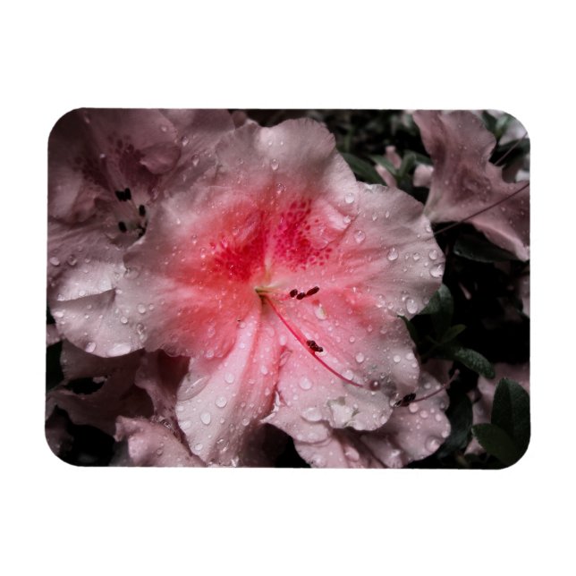 Inner Glow Flexible Magnet (Horizontal)