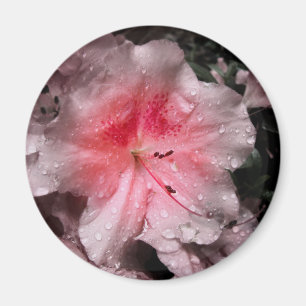 Inner Glow Magnet