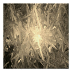 Inner Light monochrome Poster