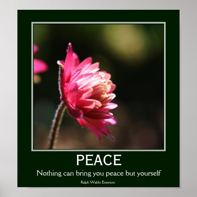 Inner Peace Flower Inspirational Quote Poster (Front)
