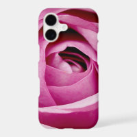 Inner Petals of Rose Bud
