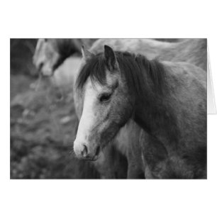 Innocence by CatMac