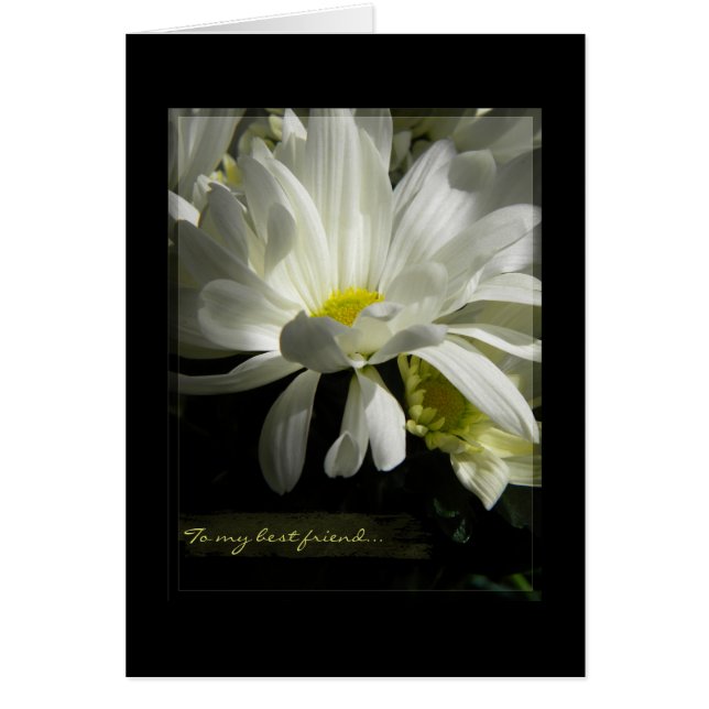 Innocence  Daisy blank B (Front)