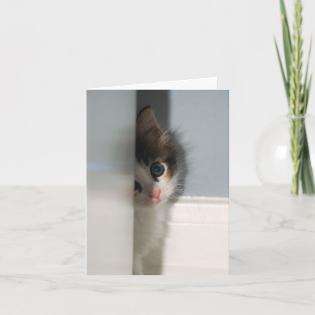 Innocence Notecard (Front)