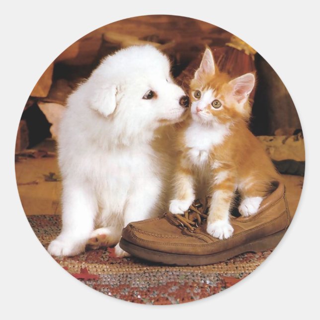 Innocence,  Puppy and Kitten Classic Round Sticker (Front)
