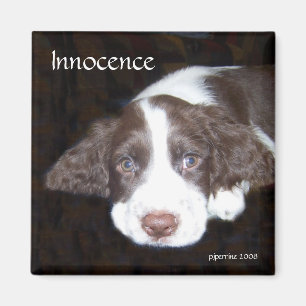 Innocence - Puppy Love Magnet