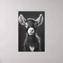 Innocent Monochromatic Minimalist Baby Goat 