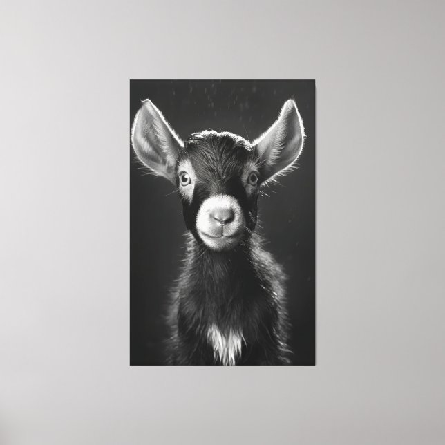 Innocent Monochromatic Minimalist Baby Goat  Canvas Print (Front)