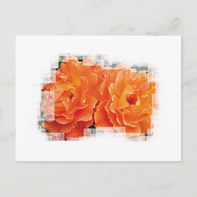 Innocent Orange Postcard (Front)