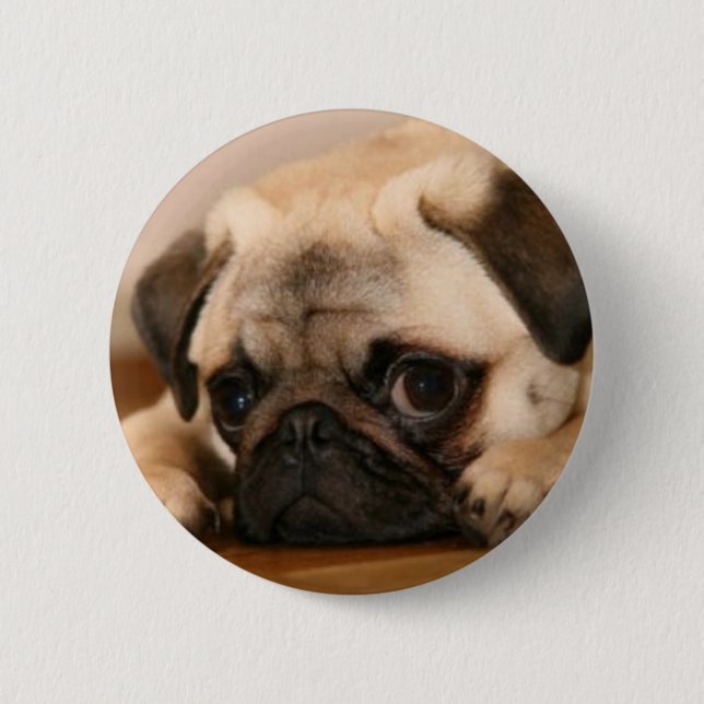 " Innocent " Pug 6 Cm Round Badge (Front)