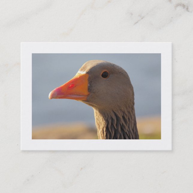 Inquisitive Goose (Bordered) Business Card (Front)