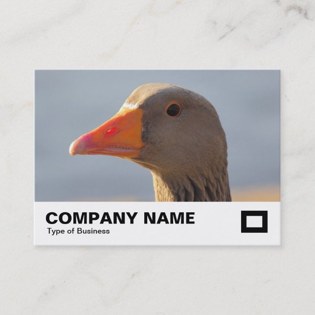 Inquisitive Goose Business Card (Front)