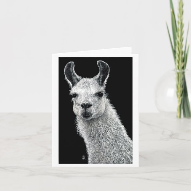 Inquisitive Llama Card (Front)
