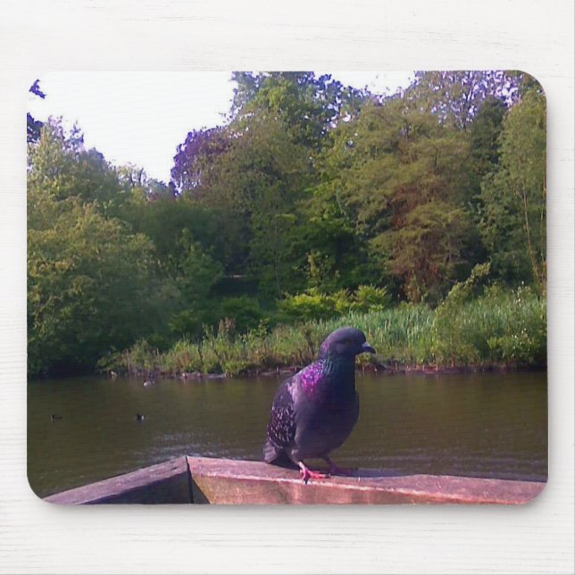 Inquisitive Pigeon Mouse Pad (Front)