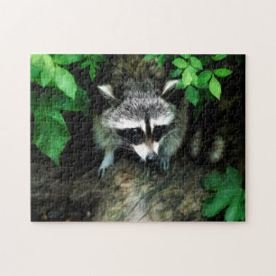 Inquisitive Racoon in Bush Jigsaw Puzzle
