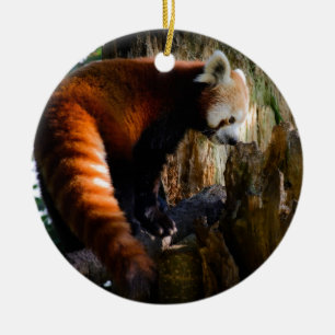 inquisitive red panda ceramic tree decoration