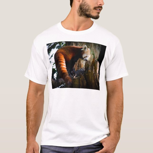 inquisitive red panda T-Shirt (Front)