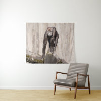 Inquisitive Young Gorilla 