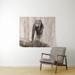 Inquisitive Young Gorilla Tapestry