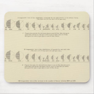 Insane, Statistical US Lithograph 1870 Mouse Pad
