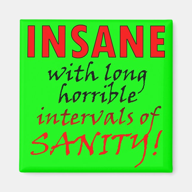 Insane With Intervals Of Sanity Funny Magnet (Front)