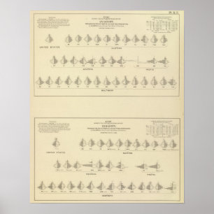Insanity, Statistical US Lithograph Poster