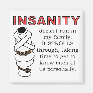 Insanity Strolls Funny Fridge Magnet