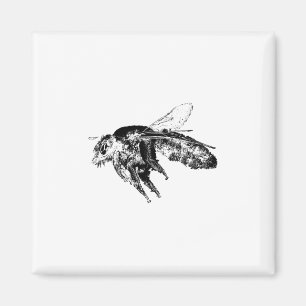 Insect bee Black Magnet
