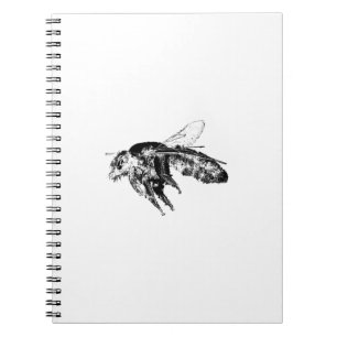 Insect bee Black Notebook