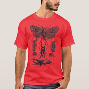 Insect Bug Collection Moth Stag Beetle Cicada T-Shirt