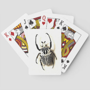 Insect card deck