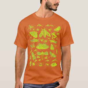 insect Collection Bugs Entomologists boys and girl T-Shirt