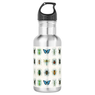 Insect collection watercolor paintings bug art  532 ml water bottle