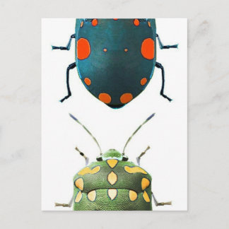 Insect coloured postcard