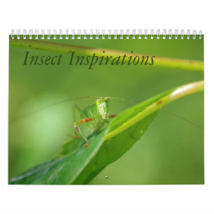 Insect Inspirations Calendar