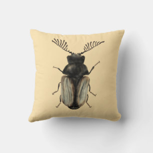 Insect Lover Art: Cool Beetle Cushion