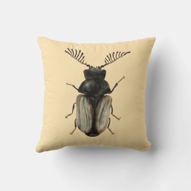 Insect Lover Art: Cool Beetle Cushion (Back)