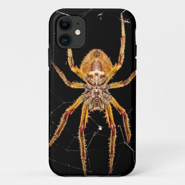 insect macro spider colombia Case-Mate iPhone case (Back)