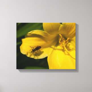 Insect on a yellow flower canvas print